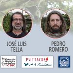 Scientific expedition in the DR Congo: Challenges to the survival of the African Grey Parrot