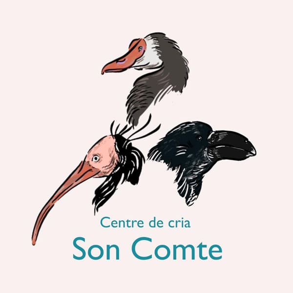 logo-son-comte