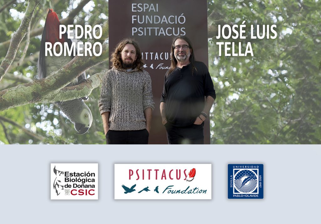 Expedición científica a la R. D. Congo: Estrategias de conservación y futuro del loro gris de cola roja.