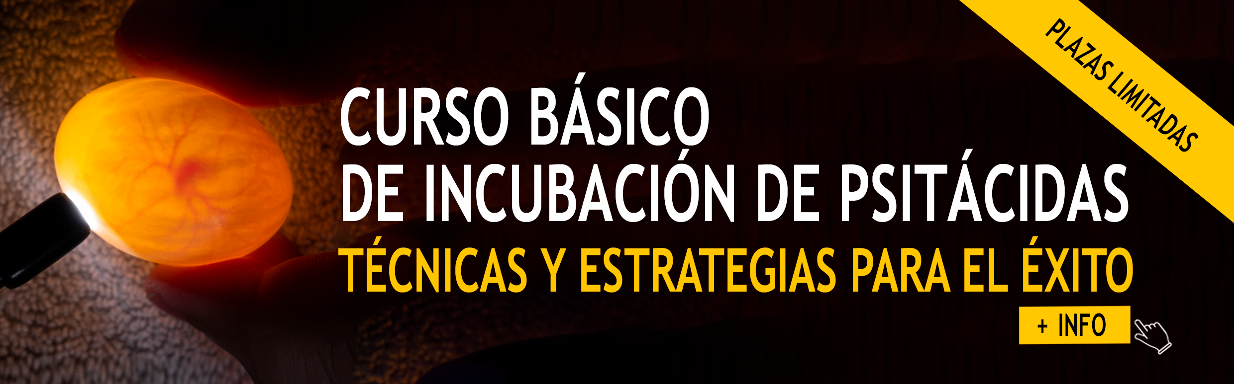 Curso basico incubacion
