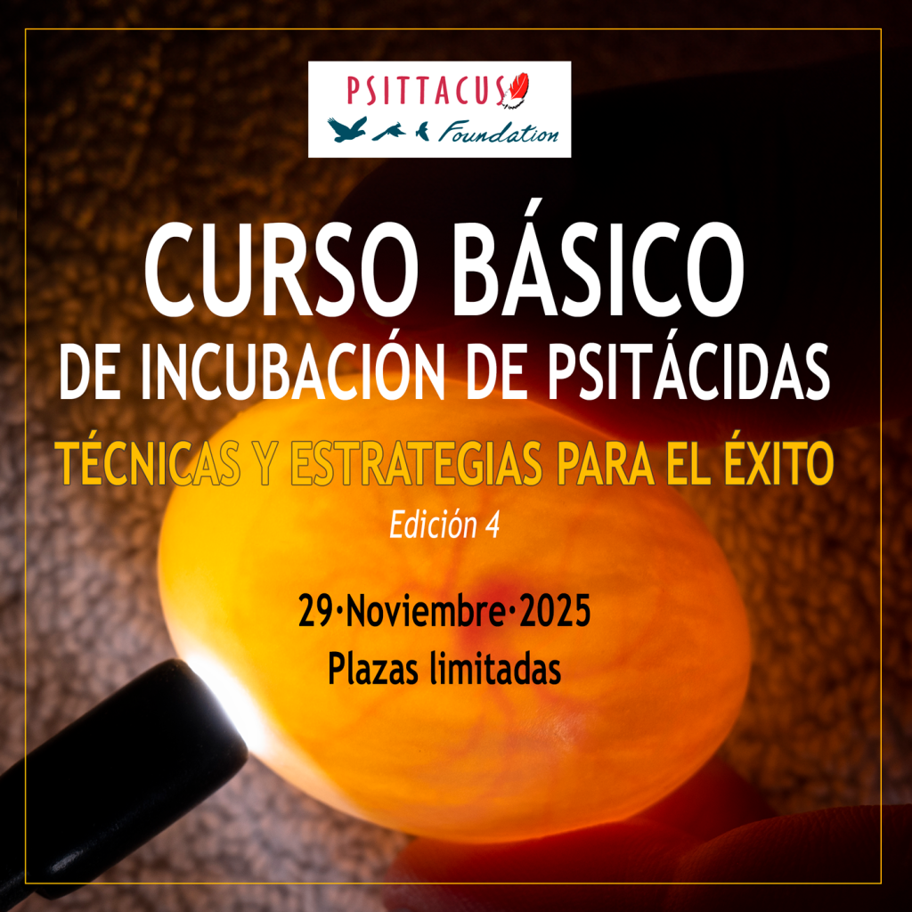 Curso incubacion psitacidas