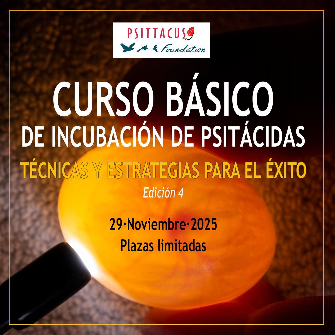 Curso incubacion psitacidas
