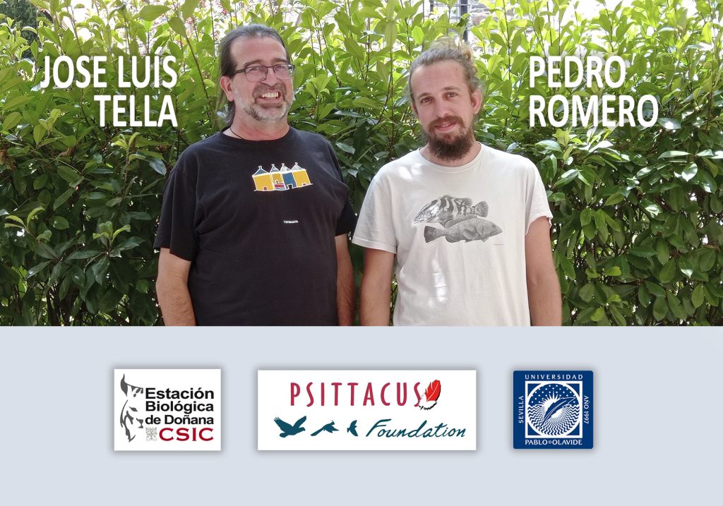 Expedición científica a Guinea Ecuatorial: Estatus poblacional del loro gris de cola roja