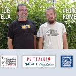 Expedición científica a Guinea Ecuatorial: Estatus poblacional del loro gris de cola roja