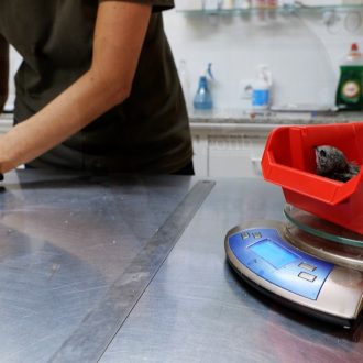 04 Medicion del peso durante la revision veterinaria inicial