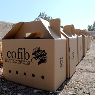 17 Cajas oficiales de transporte de vencejos para ser liberados