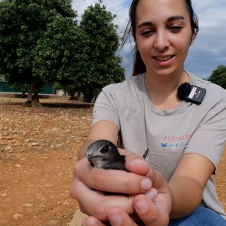 19 Detalle de un individuo a punto de ser liberado