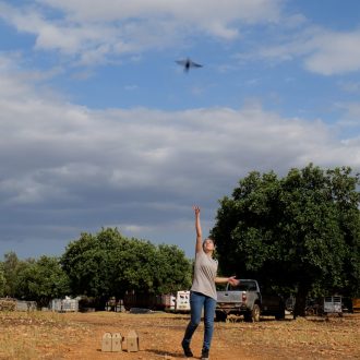 20 Liberacion de ejemplares
