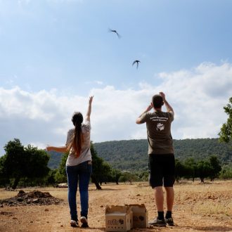 21 Liberacion de ejemplares