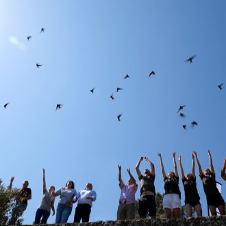 22 Liberacion de ejemplares